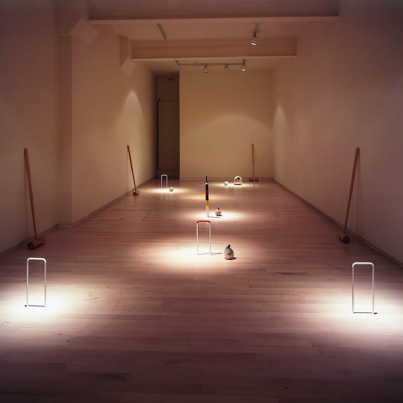 Dorothy Cross, Croquet - An installation