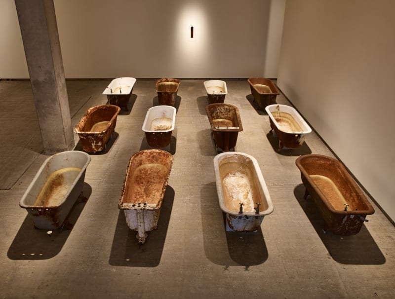 Dorothy Cross, Eye of Shark