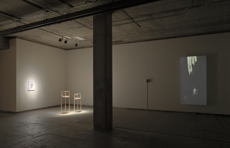 Dorothy Cross, Stalactite