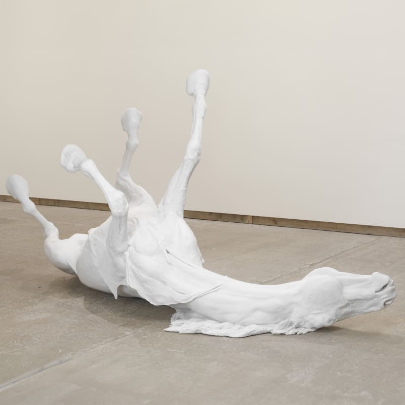 Daphne Wright, Traits of Sidney