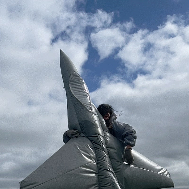 Fiona Banner aka The Vanity Press