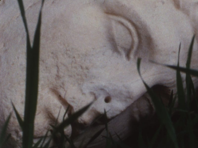 Tacita Dean, Pan Amicus, 2021 (fim still)