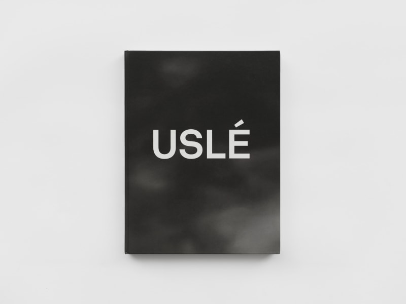 Juan Uslé, Soñé que revelabas