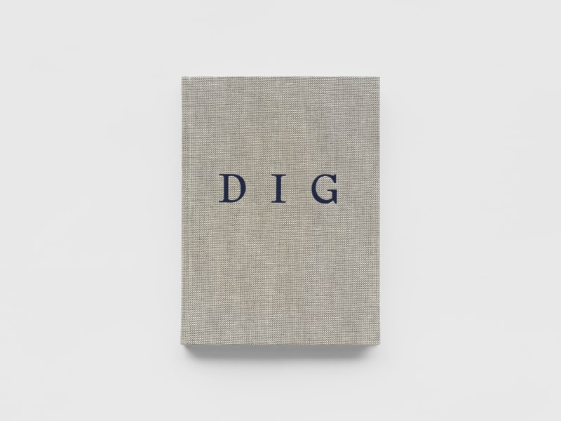 Daniel Silver, Dig