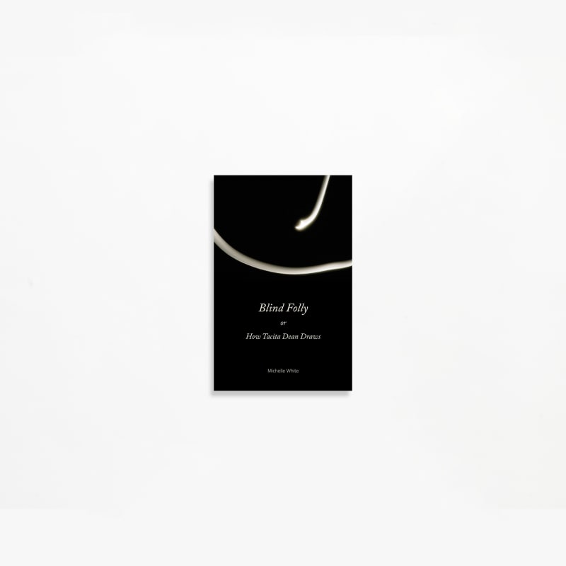 Tacita Dean, Blind Folly or How Tacita Dean Draws