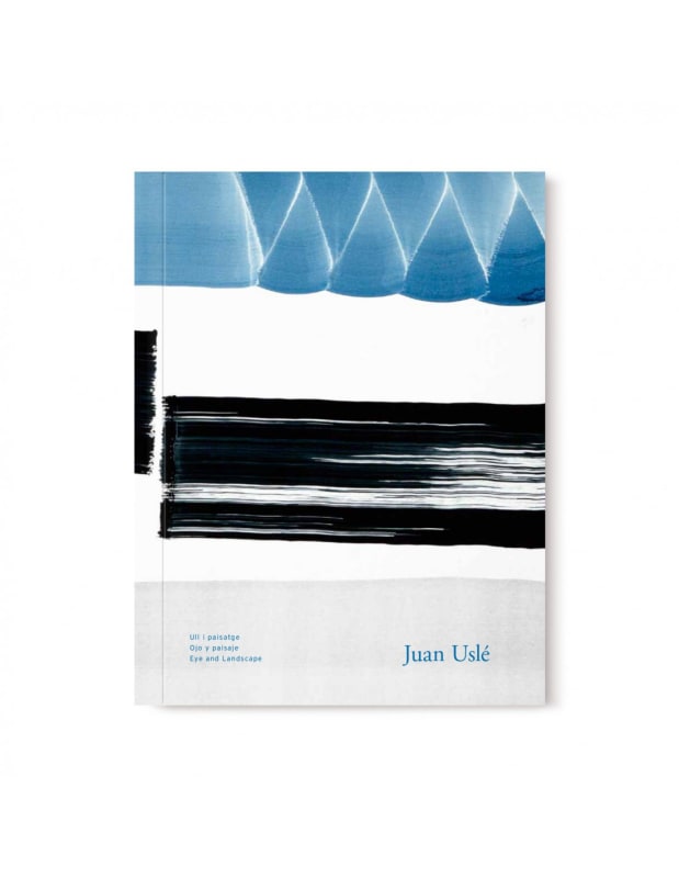 Juan Uslé, Ull i paisatge / Ojo y paisaje / Eye and Landscape