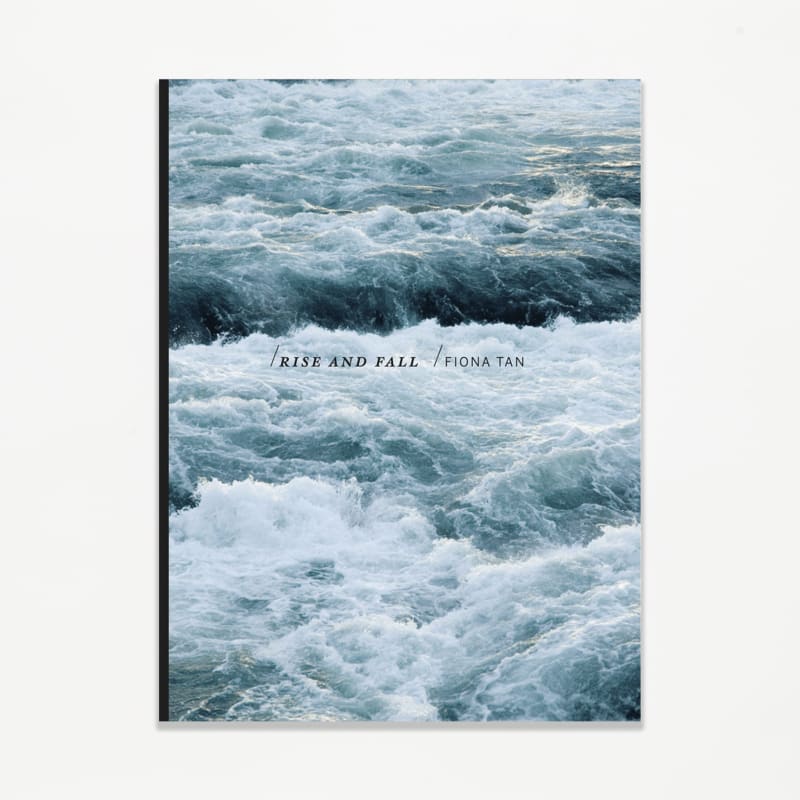 Fiona Tan, Rise and Fall