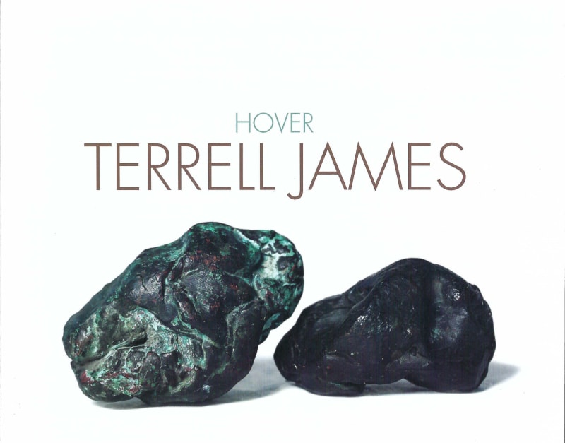 Cover image: Terrell James, Family (1997), bronze, two of thirteen individual pieces, dimensions variable