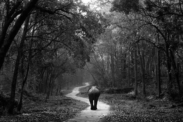 Akash Das Lord Jim, 2003 Archival pigment print. 30 × 40 in. 76.2 × 101.6 cm. Edition of 10.