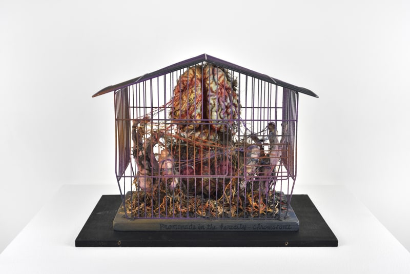 Tetsumi Kudo, Promenade in the heredity, Chromosome, 1979. Plastique, cage en métal, panneau de bois, terre, résine, colle, cellulose... h 27 x w 34 x d 19 cm.