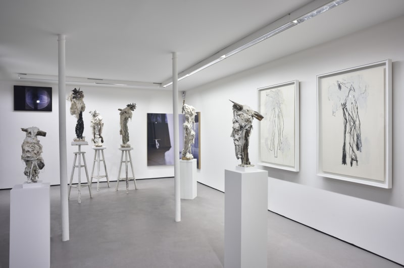 Thibault HAZELZET, La Chambre