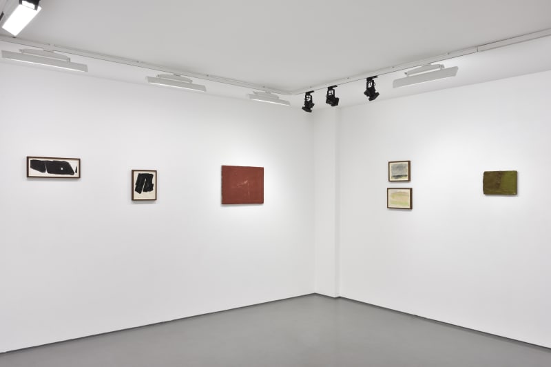 Pierre Tal Coat, Nature Sensible