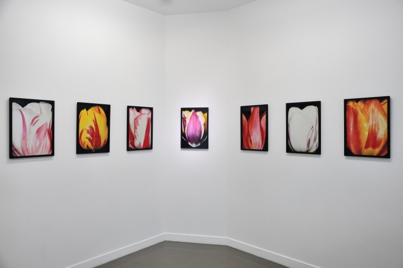 UNGLEE, On le croyait heureux