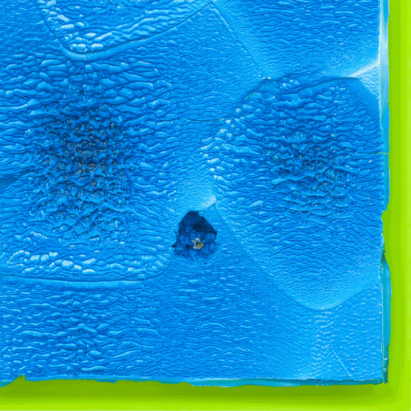 Anita MOLINERO, « Croûûûte criarde » (saison bleue), 2016 (détail) ©Courtesy Galerie Christophe Gaillard
