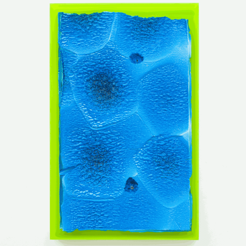 Anita MOLINERO, « Croûûûte criarde » (saison bleue), 2016 ©Courtesy Galerie Christophe Gaillard