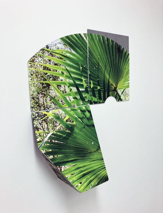 Letha Wilson, Light Green Palms Steel, 2022 - © Letha Wilson & Higher Pictures Generation