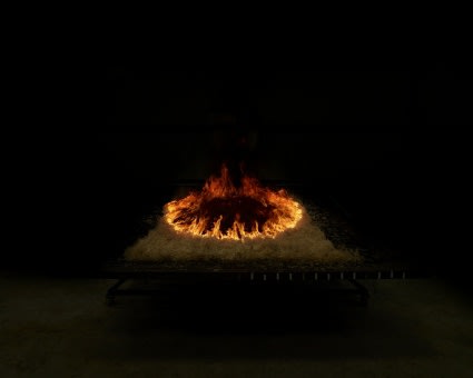 Marina Gadonneix, untitled (wildfire) #2. 126×151 cm Courtesy: Galerie Christophe Gaillard