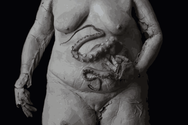 Artwork: Katarzyna Kozyra, Feast (Fat Woman Face And Octopus), 2021