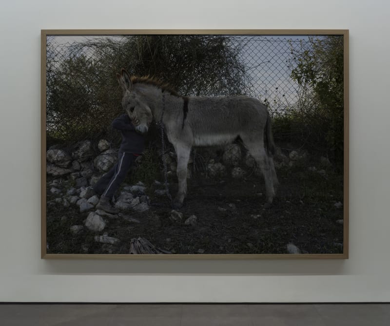Luc Delahaye, Sumud et autres histoires