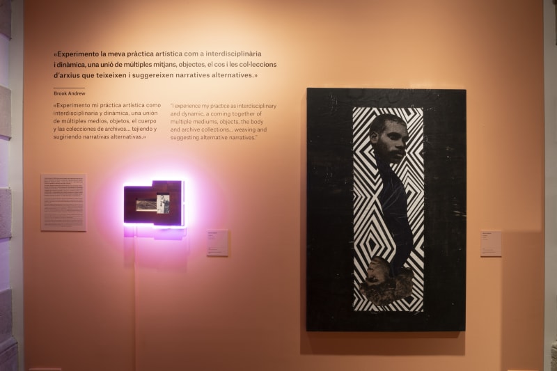 Brook Andrew in Traços. Pintura aborigen australiana: tradició i contemporaneïtat, Museu Etnològic i de Cultures del Món