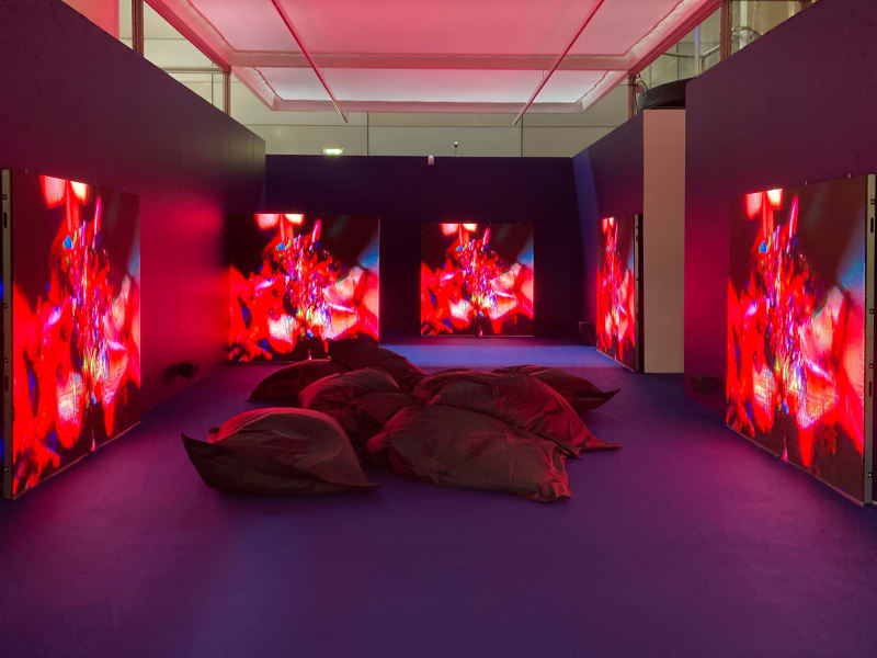 Antoine Renard : Psychobotania