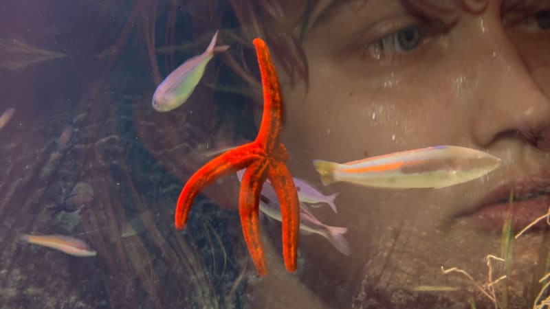 Laure Prouvost - Oma-je - Remai Modern