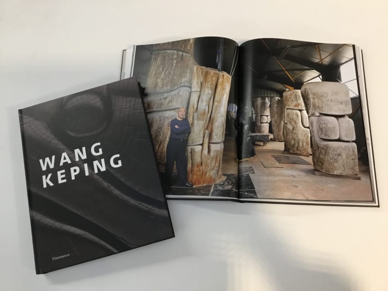 Moniek Vanden Berghe monograph