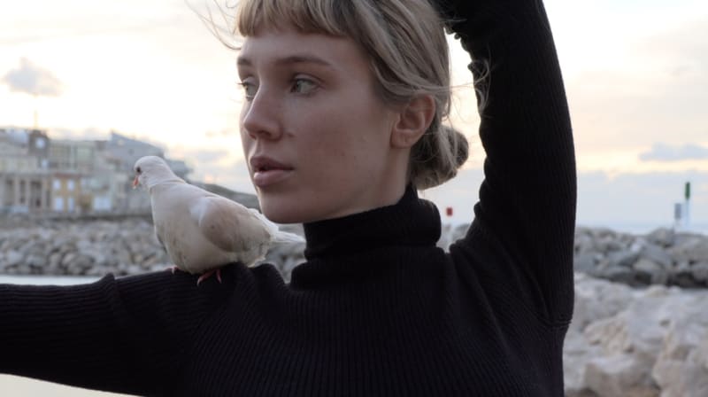 Laure Prouvost. They Parlaient Idéale