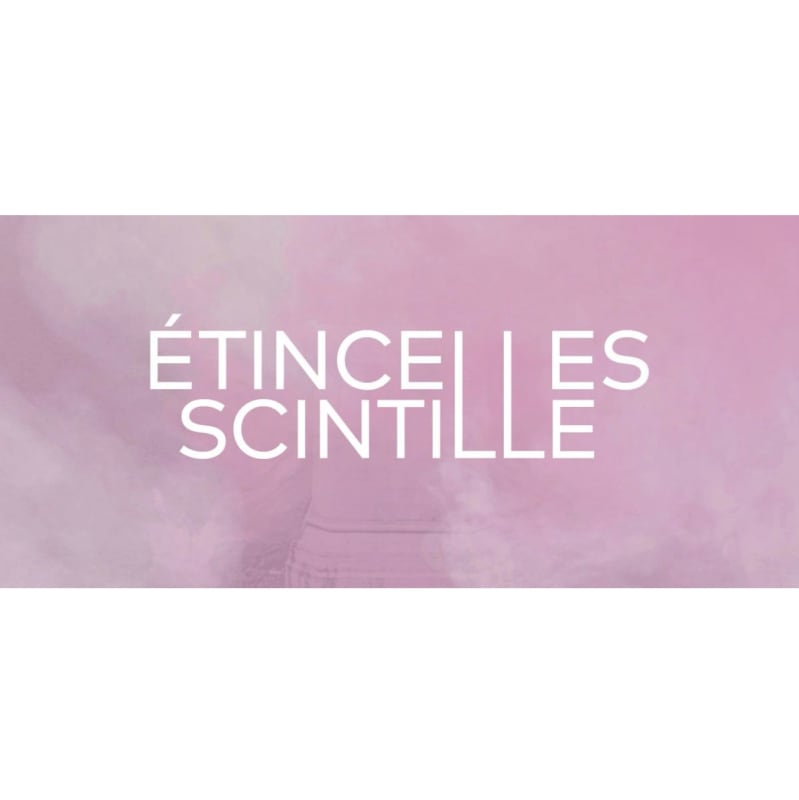 Benoît Maire in ÉTINCELLES / SCINTILLE (group show), Annual exhibition of the residents of the French Academy in Rome -...