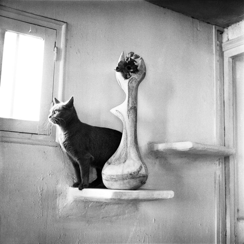 Agnès Varda, Valentine Schlegel par Agnès Varda