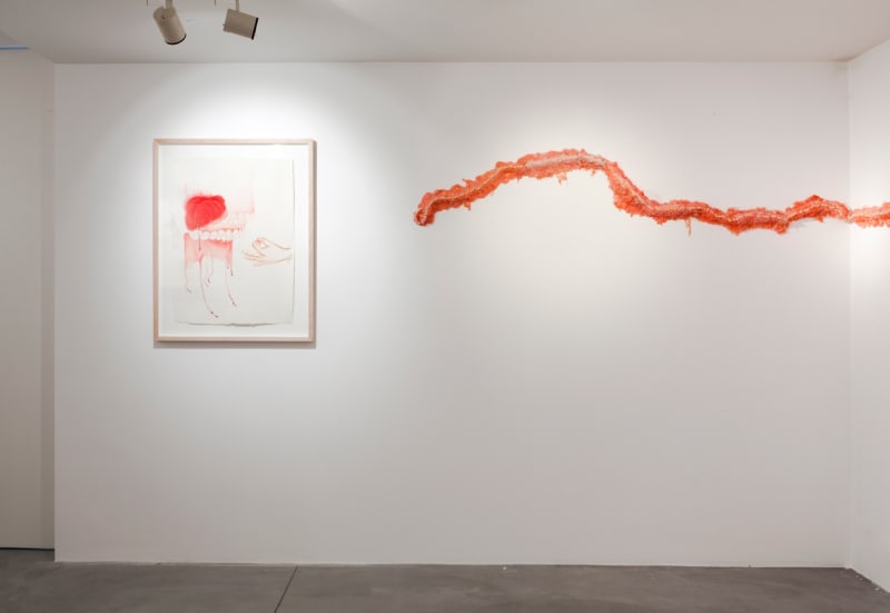 Installation View, Galerie Nathalie Obadia, Brussels 2013