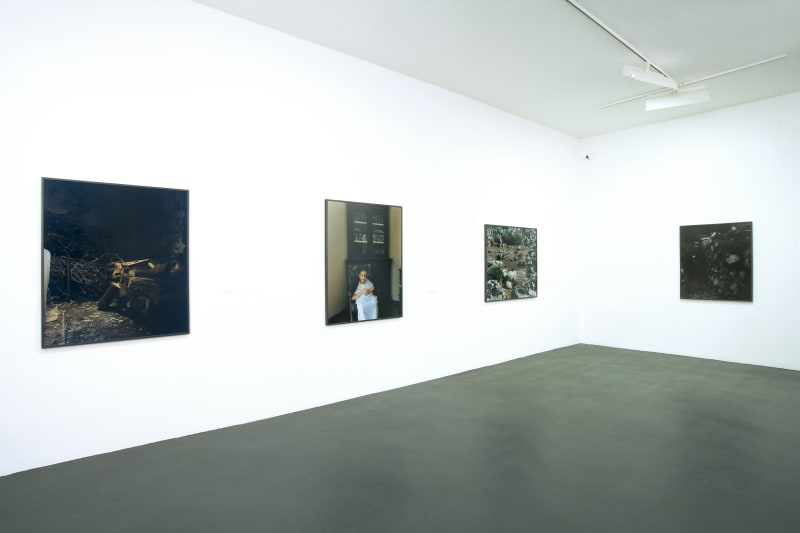 Patrick Faigenbaum, Santulussurgiu