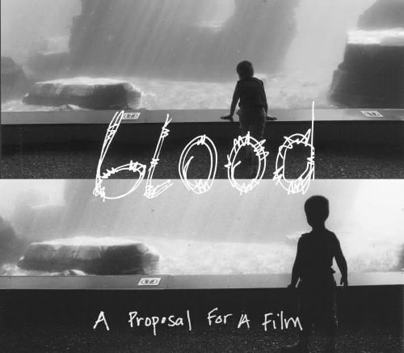 Julian Irlinger / Sangt Hipolyt, Berlin