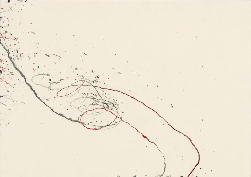 Paco Knöller / Kunstsammlung Gera, Germany