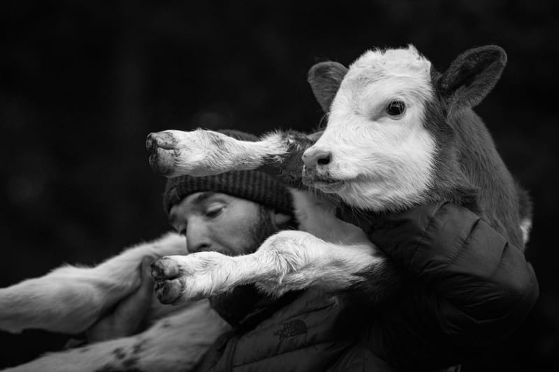 HÉRITAGE, Neil Villard, photographie | François Duruz, aquarelle