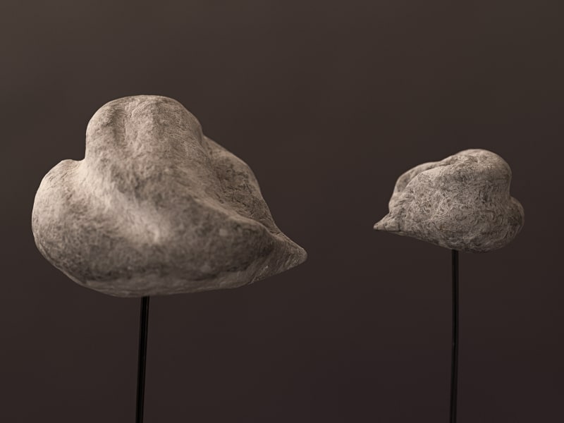 RÊVES ÉGARÉS, GENEVIEVE SEYDOUX & VIRGINIE DELACOUR