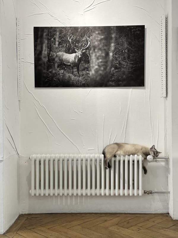 TEALT engage son administratrice et double sa surface à Bulle