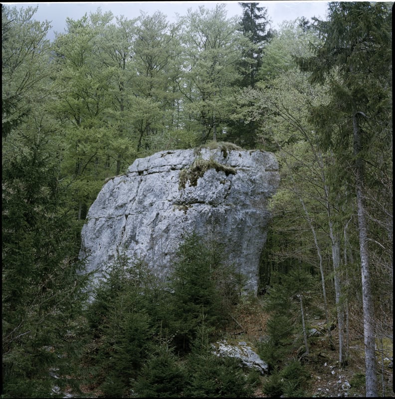 Manca Juvan & Bojan Brecelj, Back to Eden