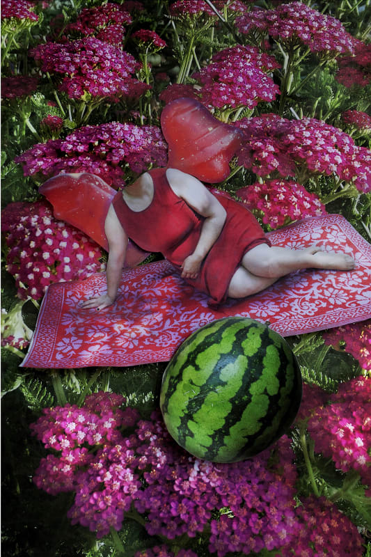 Vanja Bućan, Birds of Paradise