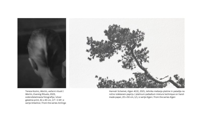 Tereza Kozinc & Hannah Schemel, Roots