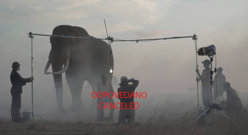 Artist Talk with Nick Brandt CANCELED DUE TO HEALTH ISSUES