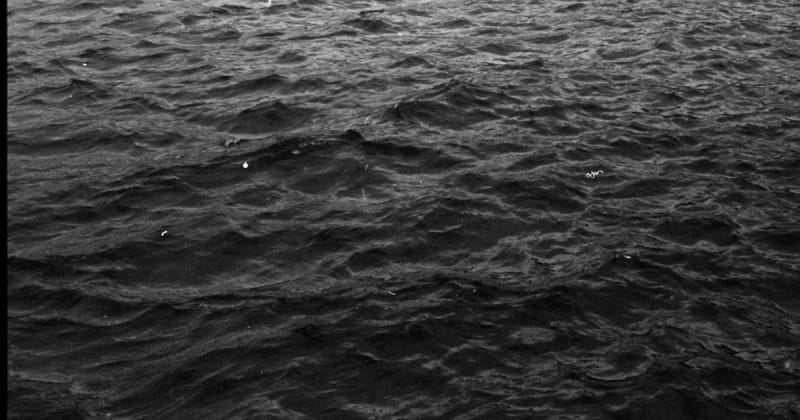 Tereza Kozinc, How to Photograph the Wind, 2023