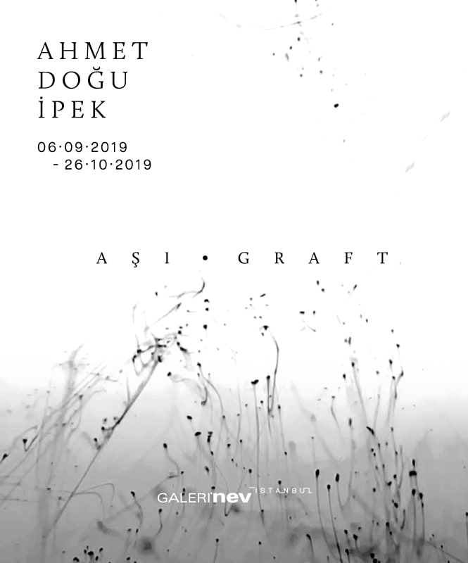 Graft, AHMET DOĞU İPEK