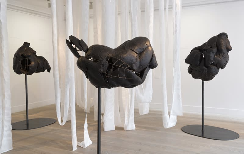 All is to Be Dared, KALLIOPI LEMOS