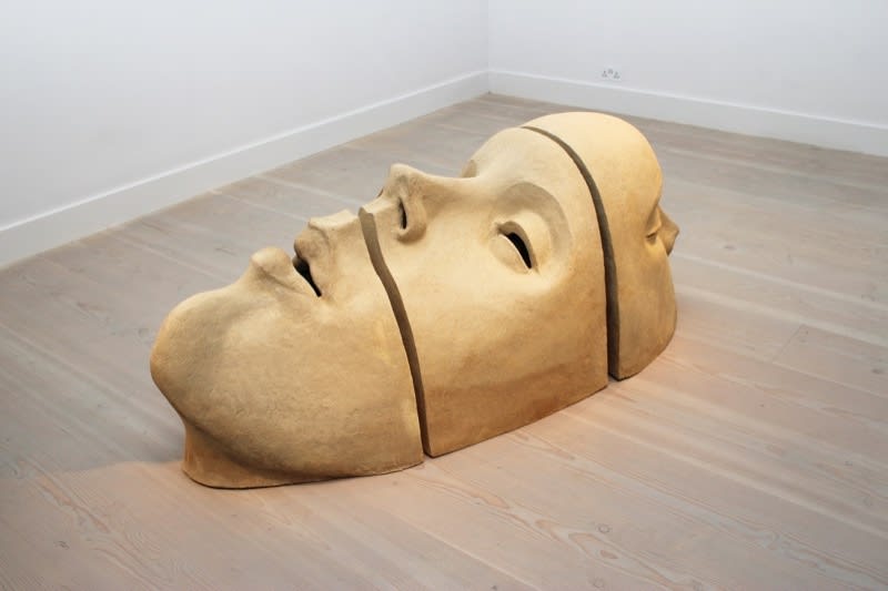 FAMILY MATTERS, Jane McAdam Freud