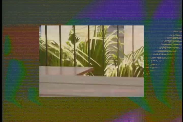 The Art Newspaper | LoVid