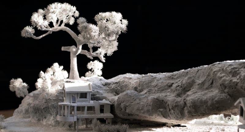 The Observer | Saad Qureshi