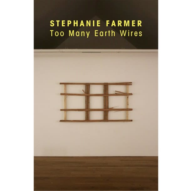 Too Many Earth Wires , Recent works by Stephanie Farmer
