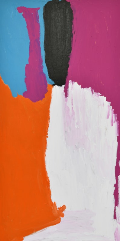 Dibirdibi Country, synthetic polymer paint on linen, 1980 x 1005mm [detail]