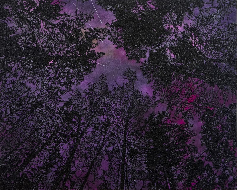 One Beautiful Morning, in the Land of a Very Gentle People (Meteors Delta Aquariids, late July 28, 2025), 2025, glitter and acrylic on board, 1219 x 1524mm